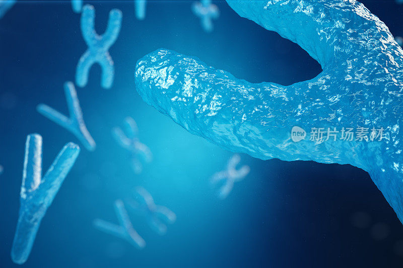 xy -染色体作为人类生物学、医学符号、基因治疗或微生物遗传学研究的一个概念